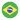 Portuguese (Brazil) language