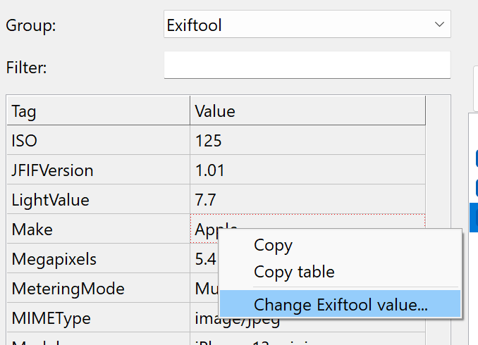 Change metadata value from item details panel