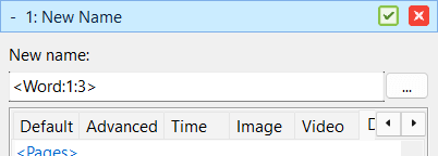 Word tag with parameter